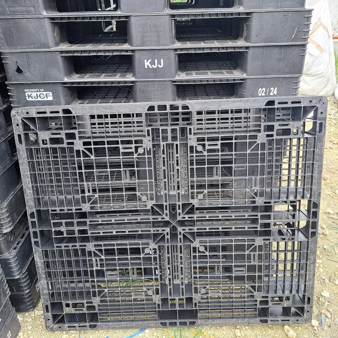 Plastic Pallets For Sale – Durable American-Made | 600 Pallets | $2,000 Per Truckload view 2